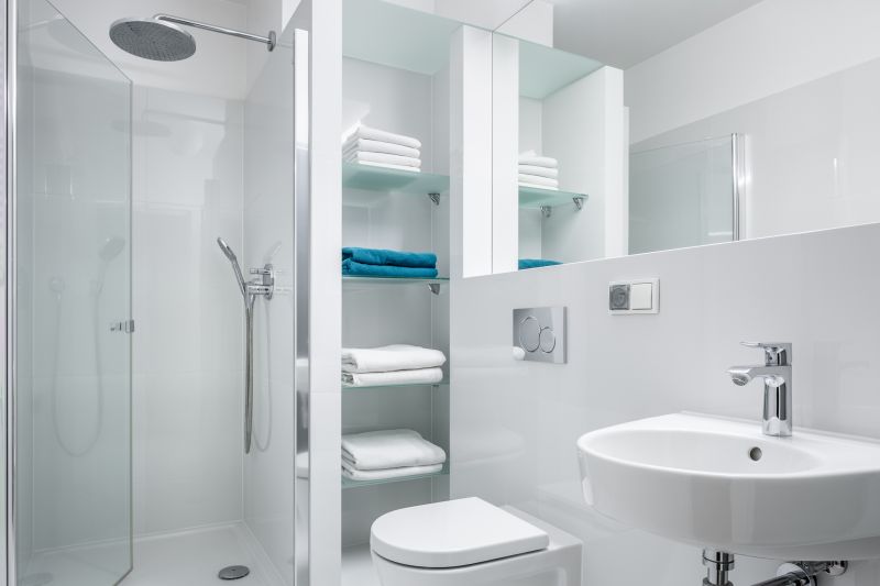 Minimalist Shower Space